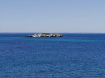 ile